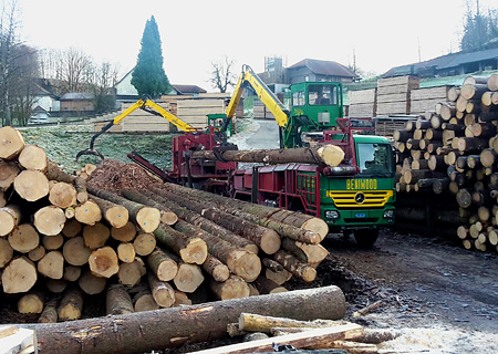 Holztransport Beniwood B. Gmünder, Haslen